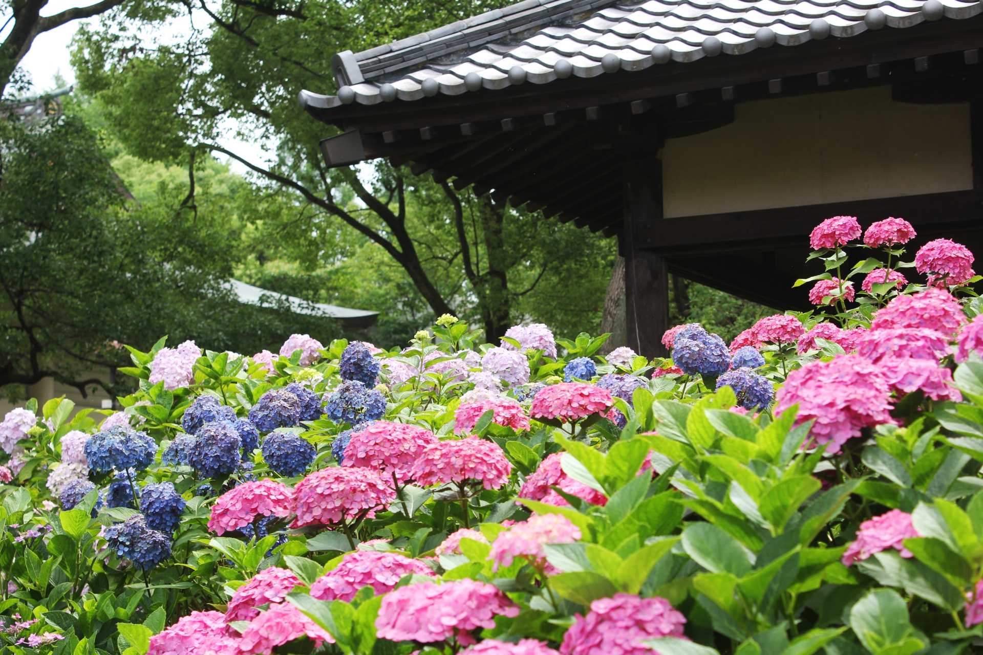 遊手神社について