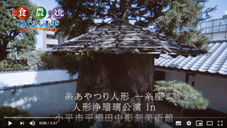 kodaira