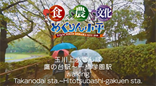 めぐりんさんぽ