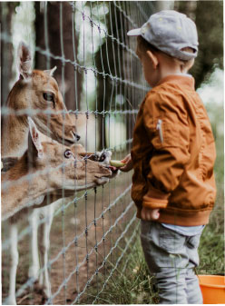 動物園